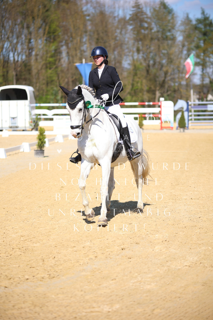 IMGT8227 | pl-fotografie