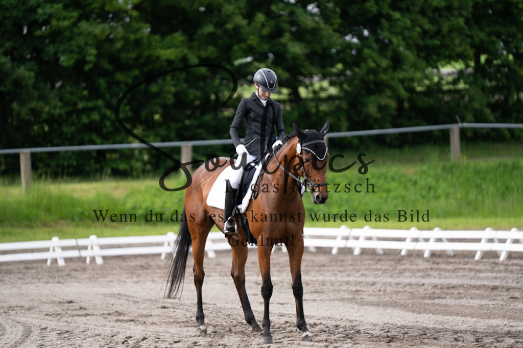 A7V03694 | Pferdefotograf