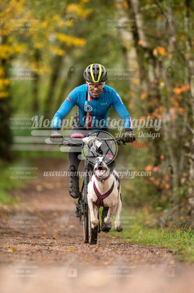 TSB_2023_E4_Bike-4 | PayLife