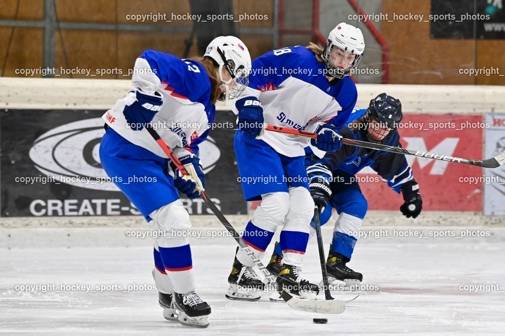 BST_4406 | hockey sports photos, Pressefotos, Sportfotos, hockey247, win 2day icehockeyleague, Handball Austria, Floorball Austria, ÖVV, Kärntner Eishockeyverband, KEHV, KFV, Kärntner Fussballverband, Österreichischer Volleyballverband, Alps Hockey League, ÖFB, 