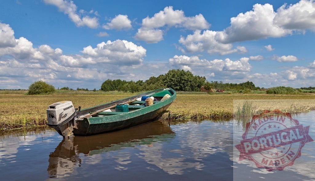 Green motorboat moored by calm river bank | Motorboat resting by a peaceful river with reflections under a blue sky and white clouds - Realized with Pictrs.com