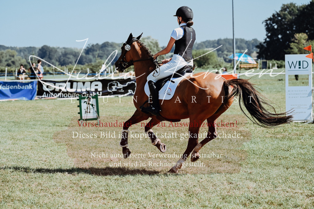 DSC_6140 | Pferde- und Turnierfotografie in Westsachsen. Pferdeportraits, Auftragszeichnungen und intuitive Kunst.