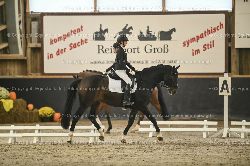 20231029_04_Dressur-WB_0092 | Foto: Thomas Hartig