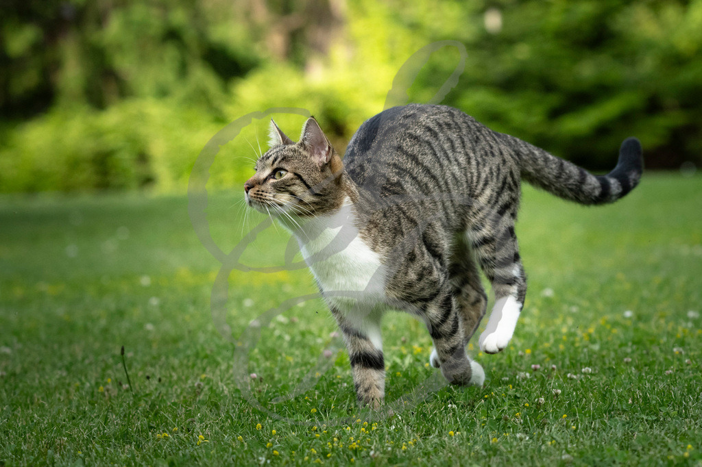 _DSC2768 | sebastiandoebroessy - Realisiert mit Pictrs.com