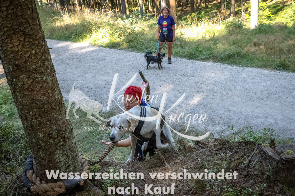 1146_ZZ92036 | kk-dogfotos