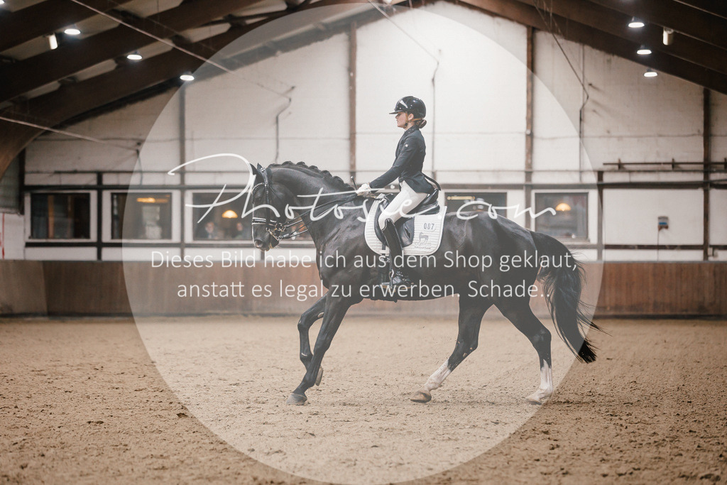 3I6A8837 | Stimmungsvolle Portraits und Reitsportfotografie im Ruhrgebiet und im Münsterland.

Pferdefotografie, Hundefotografie, Tierfotografie, Reportagen, Portraits von Tier und Mensch, Turnierfotografie in Bochum, Recklinghausen, Marl, Haltern am See, Dülmen.. - Realisiert mit Pictrs.com