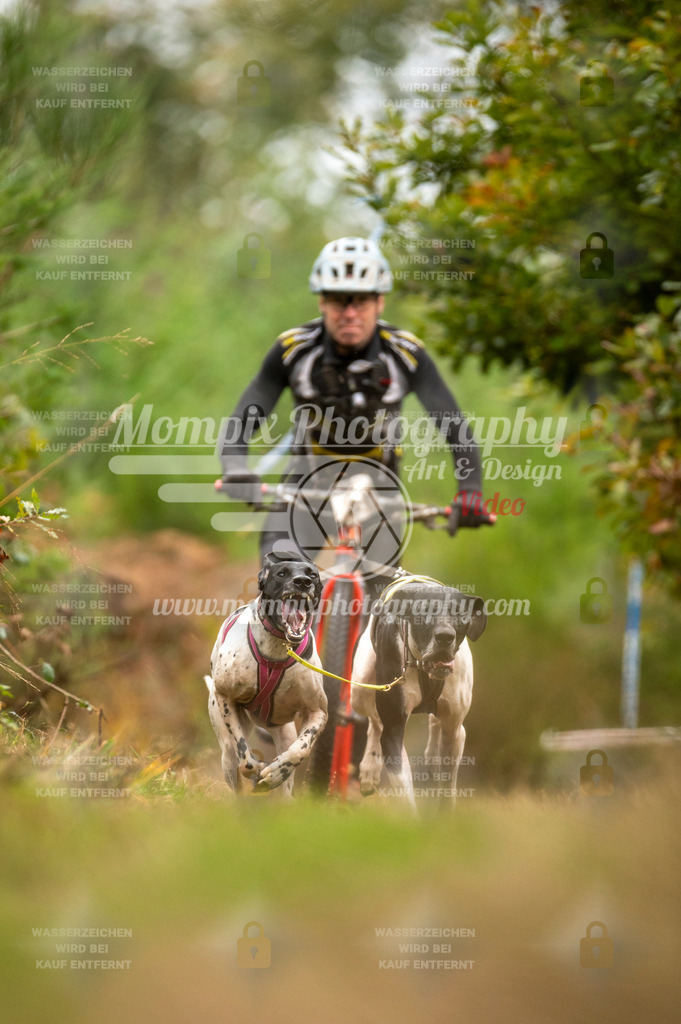 TSB_2023_E5_DS2-2 | PayLife