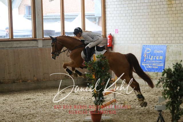 IMG_0639 | Turnierfotos kaufen im Webshop von Daniel Kuhl Photography – entdecke professionelle Reitsportfotos aus Turnieren & Events. Hochwertige Turnierbilder online bestellen & sichern. Jetzt Fotos von Reitsportturnieren kaufen!