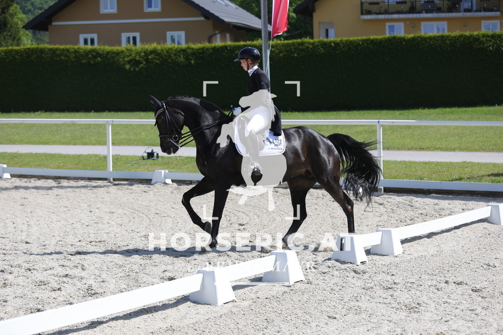 0P6A6213 | Willkommen bei Brunnmayr - Design & Fotografie – Ihrem Spezialisten für Reitturniere und Pferdeveranstaltungen in Oberösterreich, Salzburg und Bayern! Seit über 17 Jahren sind wir leidenschaftlich dabei.