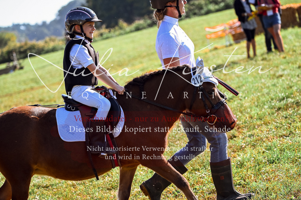 DSC_0467 | Pferde- und Turnierfotografie in Westsachsen. Pferdeportraits, Auftragszeichnungen und intuitive Kunst.