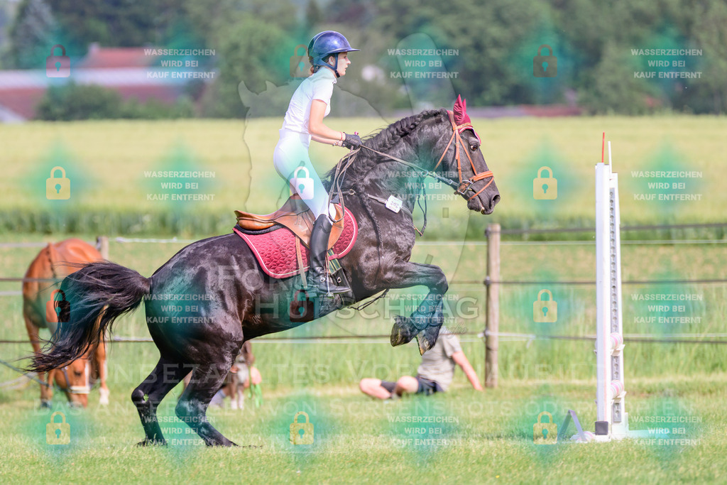 30052026-Forstinning-Prfg20-0412 | Fokus Hufschlag Fotografie - Realisiert mit Pictrs.com