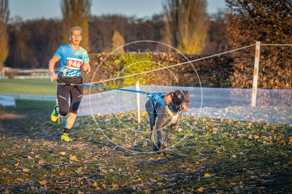 CaniXpix_DV3A5500 | Hundefotografie, Tierfotograf, Pfotenfotografie, Fotoshooting Hund, Hunde Portrait, Hundesport, Hundeportraits, Heideshooting, Hunde, Sportfotograf, Hundefotograf, Turnierhundsport, THS,  - Realisiert mit Pictrs.com