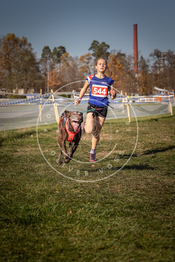 CaniXpix_0L8A7599 | Hundefotografie, Tierfotograf, Pfotenfotografie, Fotoshooting Hund, Hunde Portrait, Hundesport, Hundeportraits, Heideshooting, Hunde, Sportfotograf, Hundefotograf, Turnierhundsport, THS,  - Realisiert mit Pictrs.com