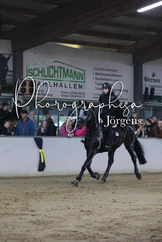 IMG_1857 | photographesa-joergens - Realisiert mit Pictrs.com