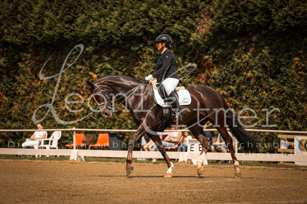 16.SaDrM00004 | Leoni Ertmer Photography - Realisiert mit Pictrs.com