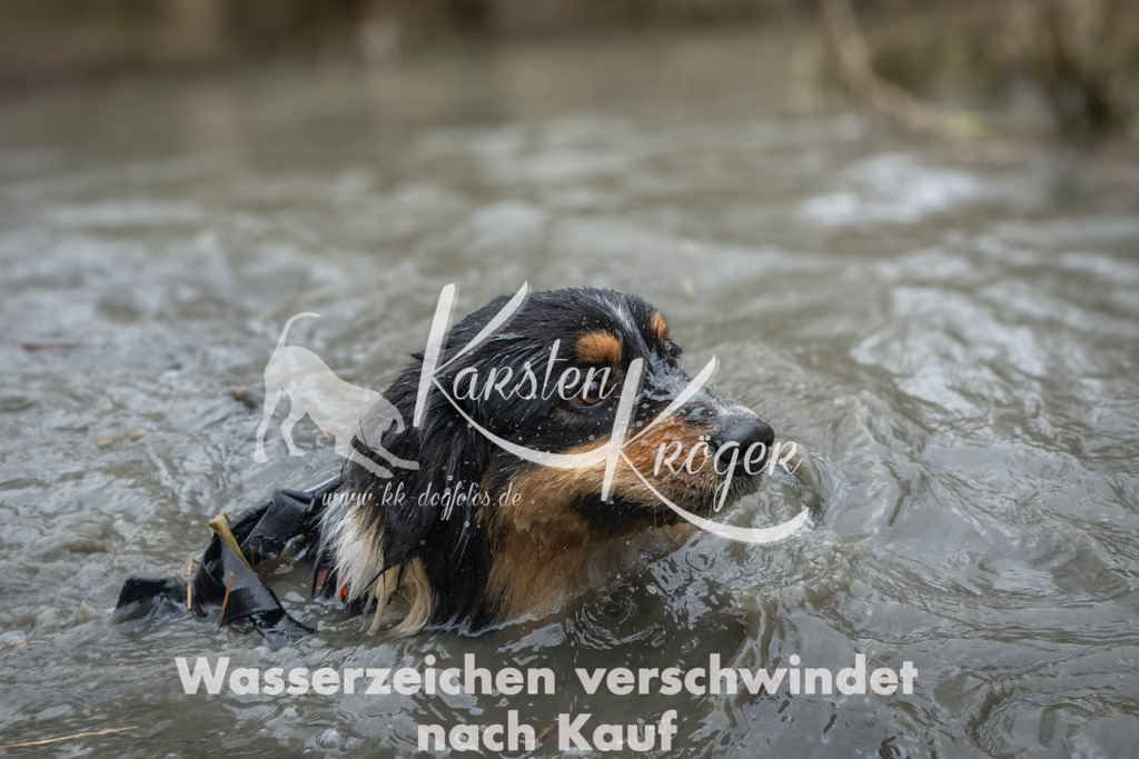 1102_ZZ95012 | kk-dogfotos