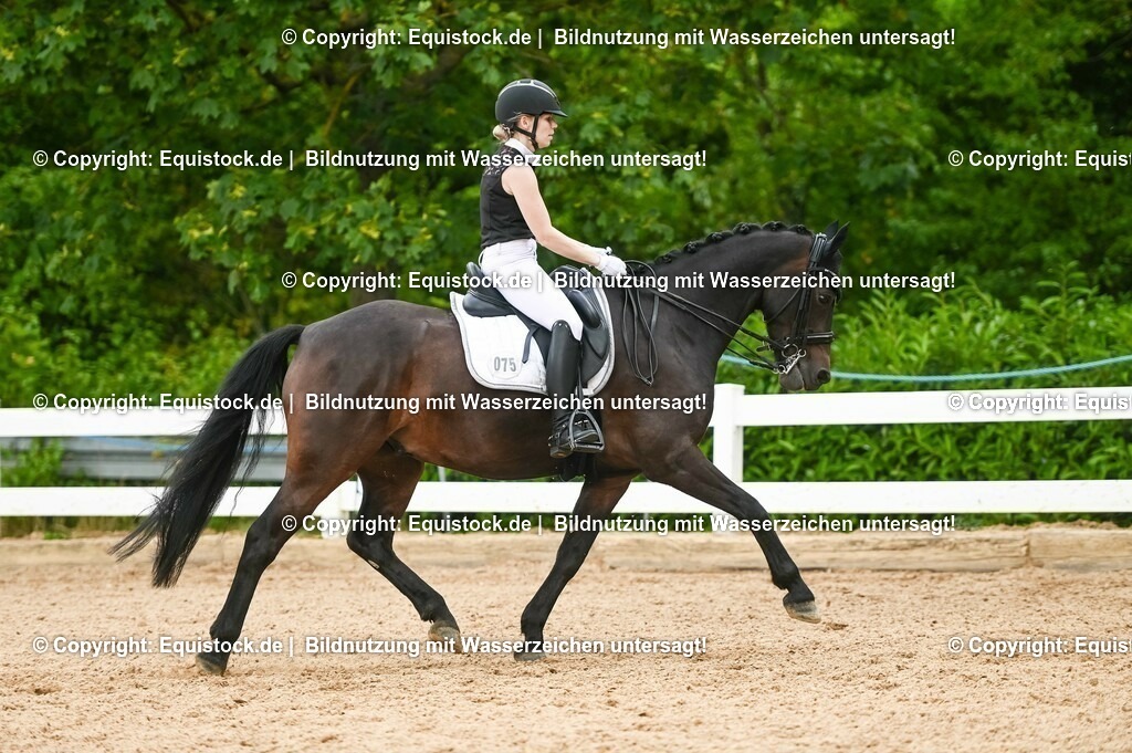 20230716_01_Dressurprüfung Kl.M_0476 | equistock