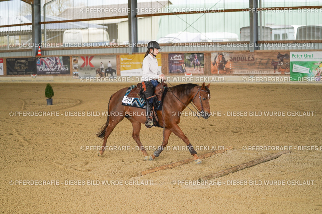 DSC05970 | Pferdegrafie