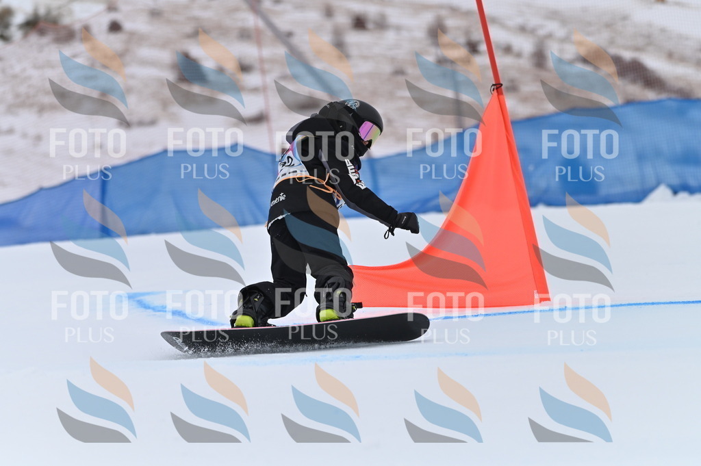 BGV_5338 | holidayphoto