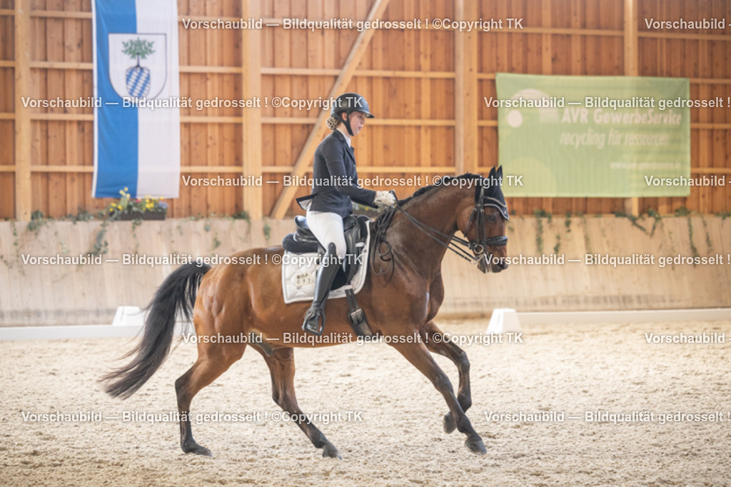 _D5A6000 | Emotionale Pferde- & People-Fotografie rund um Heidelberg, Leimen & Umgebung. Natürliche Fotos von Pferd, Mensch & Familie. Jetzt Termin sichern!