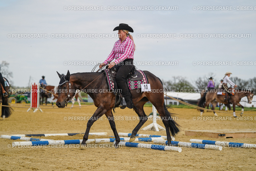 DSC05239 | Pferdegrafie