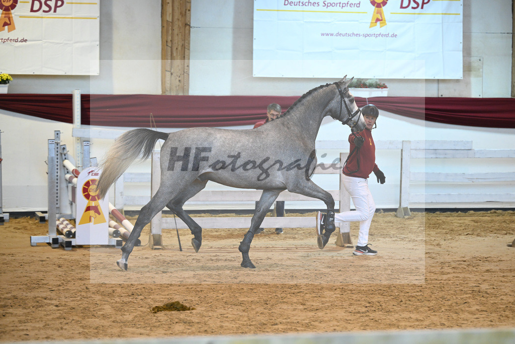 Kat-Nr. 54 v. Vingino_Stahl_66221430 | hf-fotografie - Realisiert mit Pictrs.com
