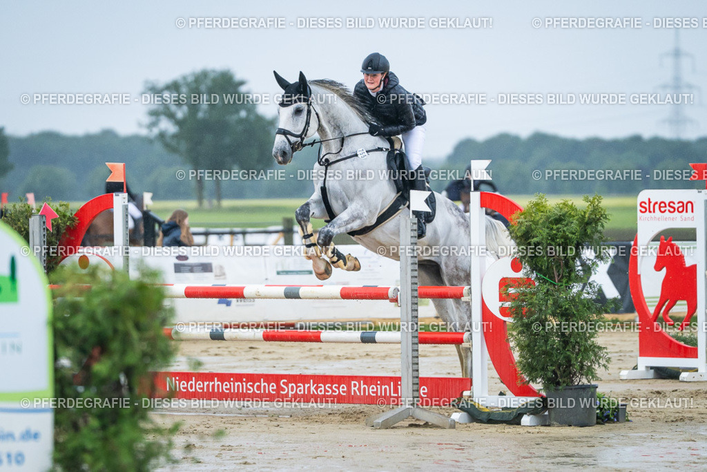 DSC04170 | Pferdegrafie