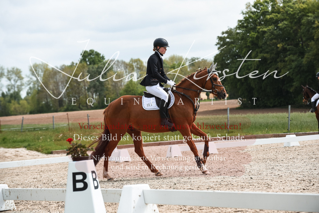 20230518_JK-Röhrsdorf-10-122 | Pferde- und Turnierfotografie in Westsachsen. Pferdeportraits, Auftragszeichnungen und intuitive Kunst.