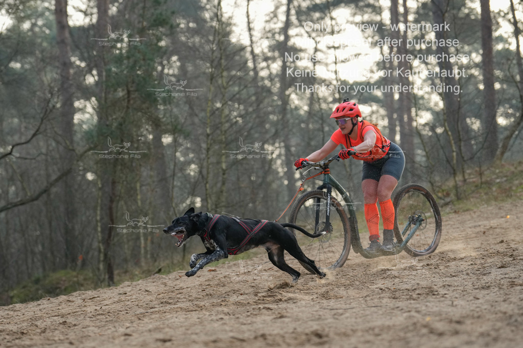 Scooter1-89 | stephaniefillaphotographie - Realisiert mit Pictrs.com