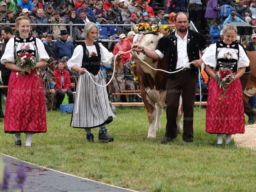 DSC05323 | Schwingen - Realisiert mit Pictrs.com