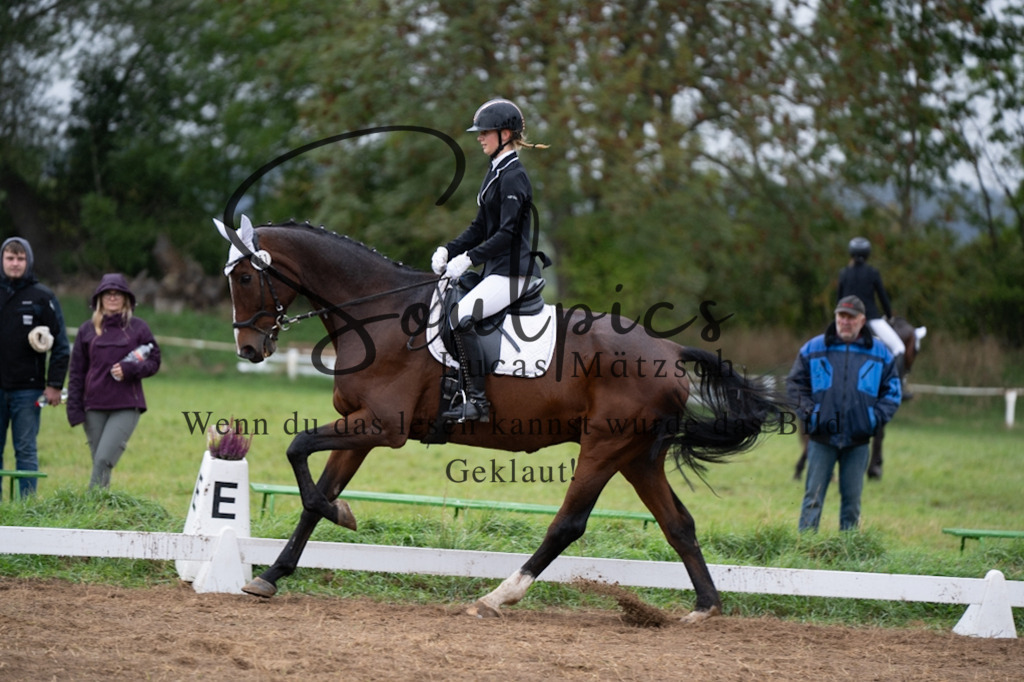 A7V05718 | Pferdefotograf