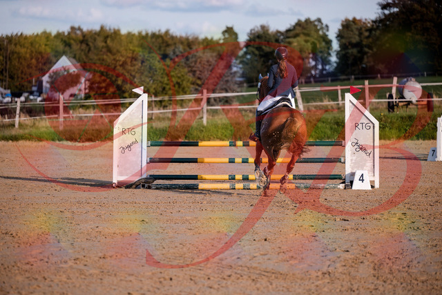 2026_10_03_Siefer-Hof_171216_Z81_09358074 | Professionelle Reitsport-, Turnier- und Eventfotografie von Robert Broda. Galerien mit ausgewählten und bearbeiteten Bildern direkt online ansehen und bestellen.