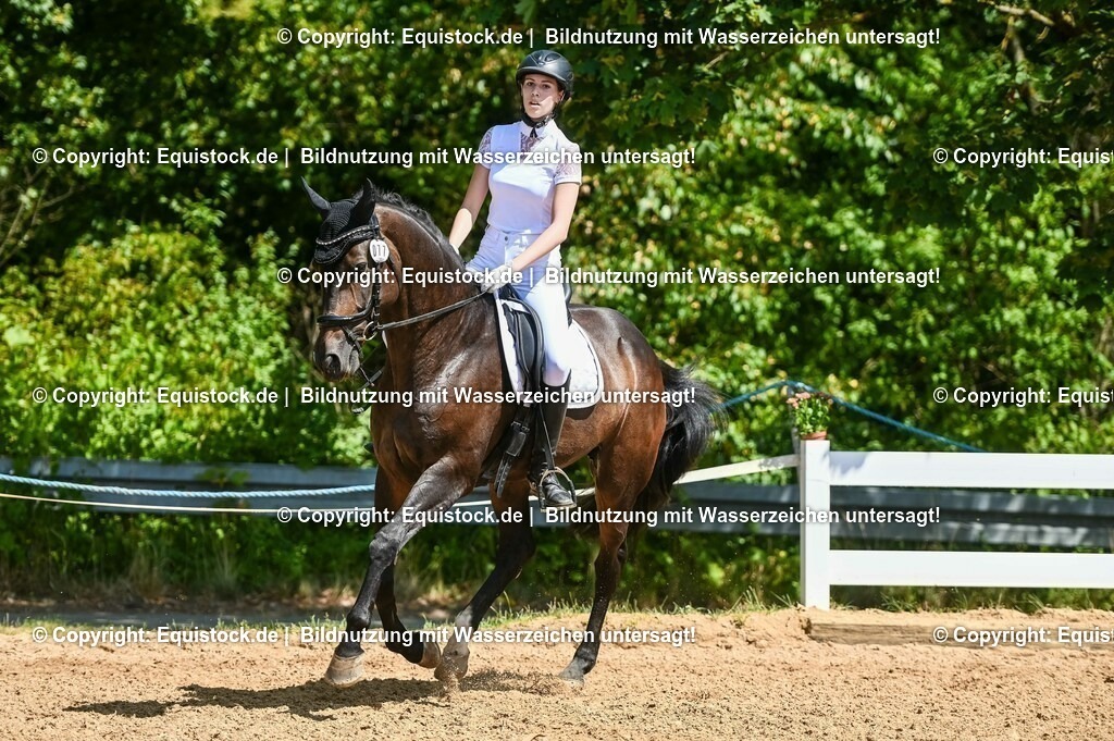 20230715_02_Dressurreiterprüfung Kl.L_0060 | equistock