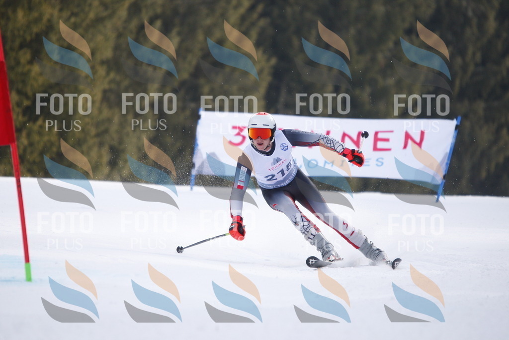 D8310 | holidayphoto