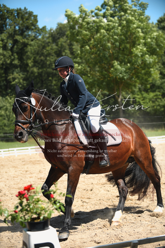 DSC_2213 | Pferde- und Turnierfotografie in Westsachsen. Pferdeportraits, Auftragszeichnungen und intuitive Kunst.
