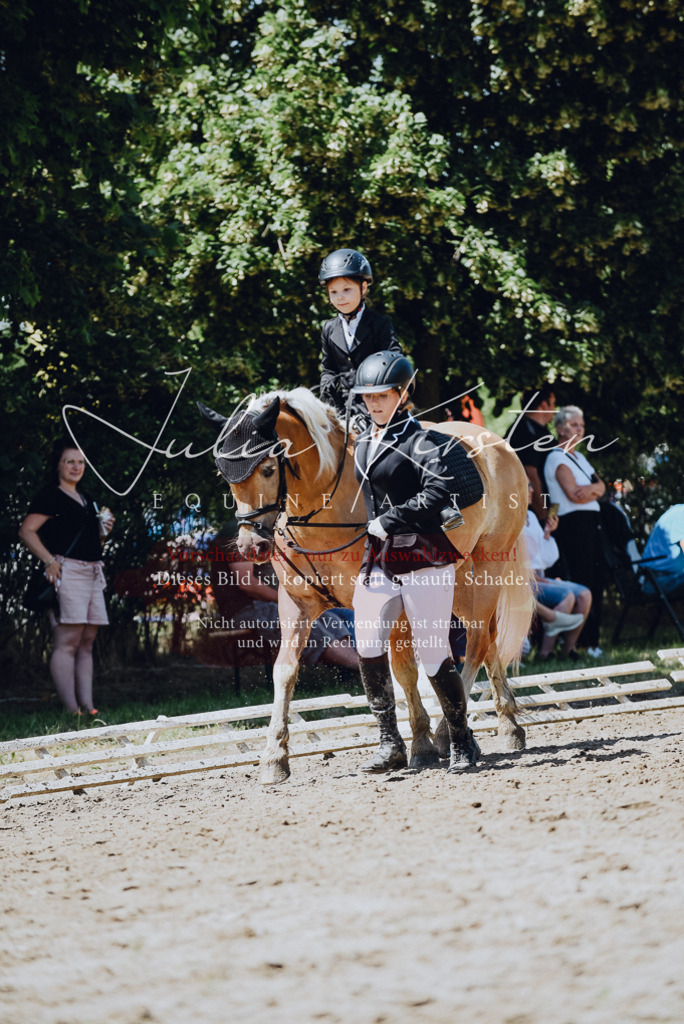 DSC_2525 | Pferde- und Turnierfotografie in Westsachsen. Pferdeportraits, Auftragszeichnungen und intuitive Kunst.