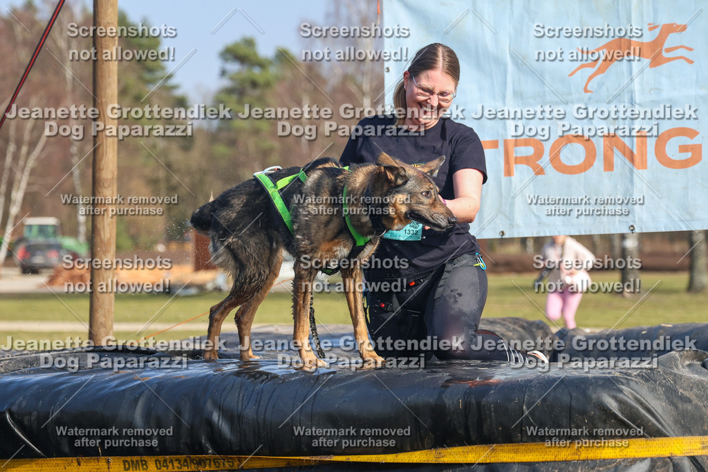 Dog Paparazzi - Strongdog North Mrz26-3013 | Dog Paparazzi Jeanette Grottendiek Fotografie & Videografie - Realisiert mit Pictrs.com
