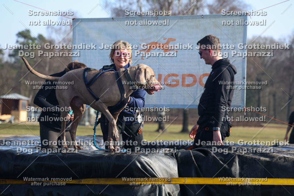 Dog Paparazzi - Strongdog North Mrz26-1367 | Dog Paparazzi Jeanette Grottendiek Fotografie & Videografie - Realisiert mit Pictrs.com