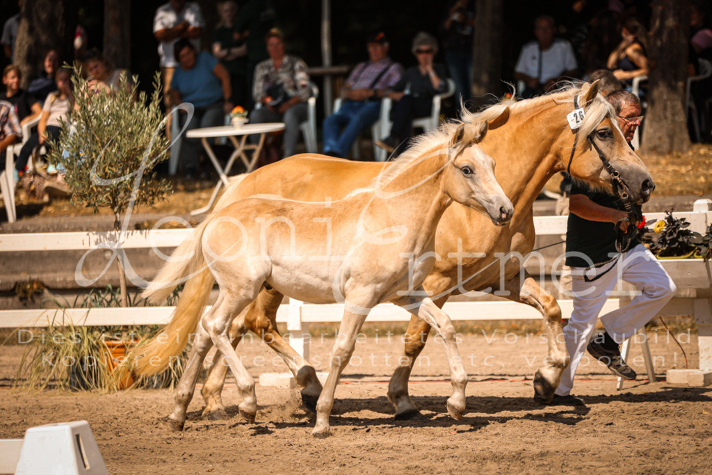 06.DoH00107 | Leoni Ertmer Photography - Realisiert mit Pictrs.com