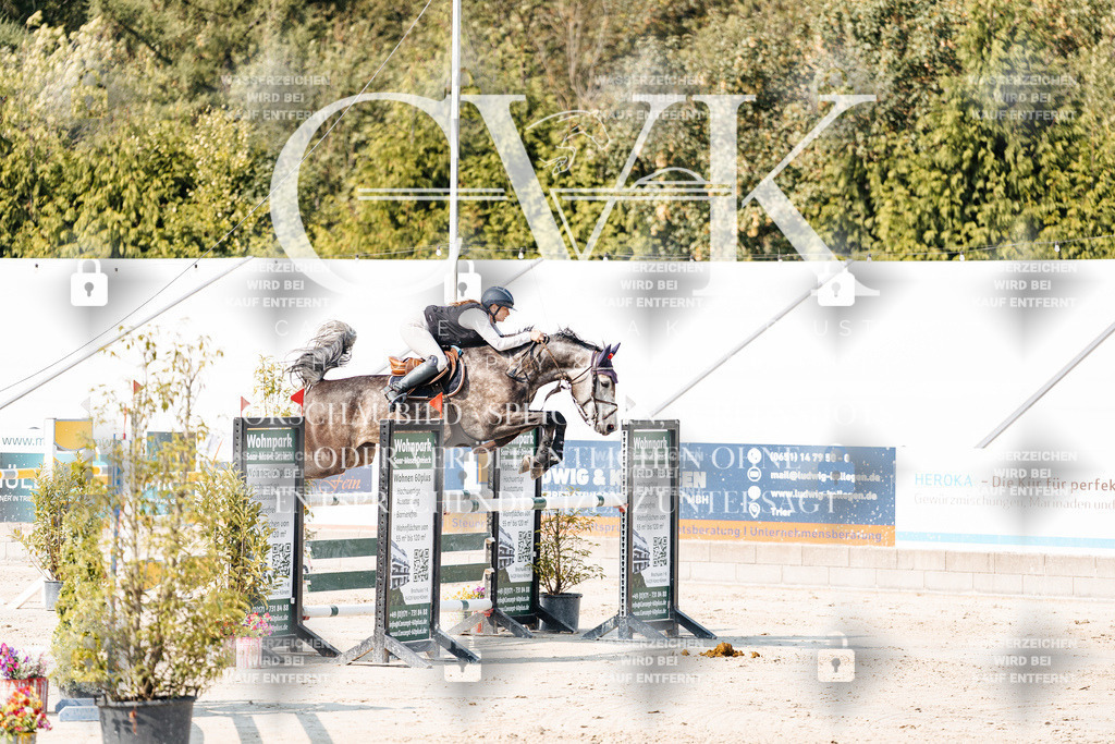 CK902439 | Turnierfotografie Pferdefotografie Trier Rheinland-Pfalz Pferdesport Reitsport Tierfotografie Sportfotografie Pferdevideo Pferdevideografie Equestrianvideography equestrianphotography  - Realisiert mit Pictrs.com