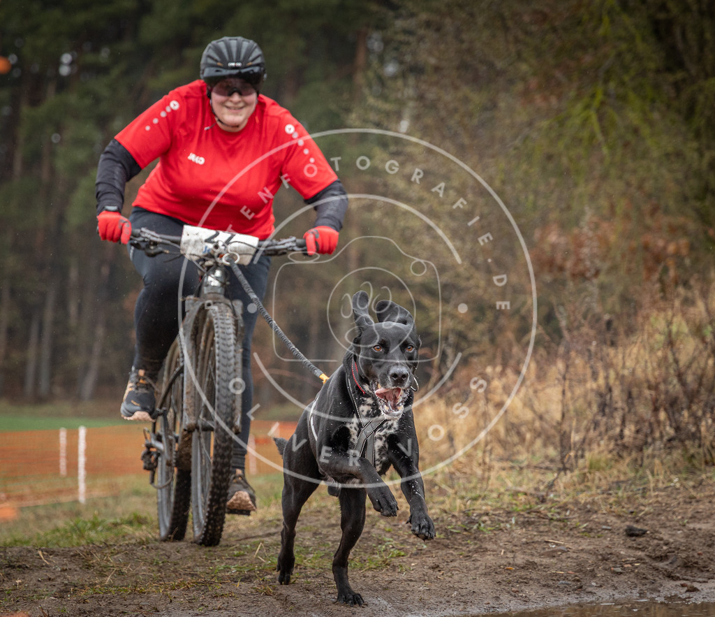 0L8A8878 | Hundefotografie, Tierfotograf, Pfotenfotografie, Fotoshooting Hund, Hunde Portrait, Hundesport, Hundeportraits, Heideshooting, Hunde, Sportfotograf, Hundefotograf, Turnierhundsport, THS,  - Realisiert mit Pictrs.com