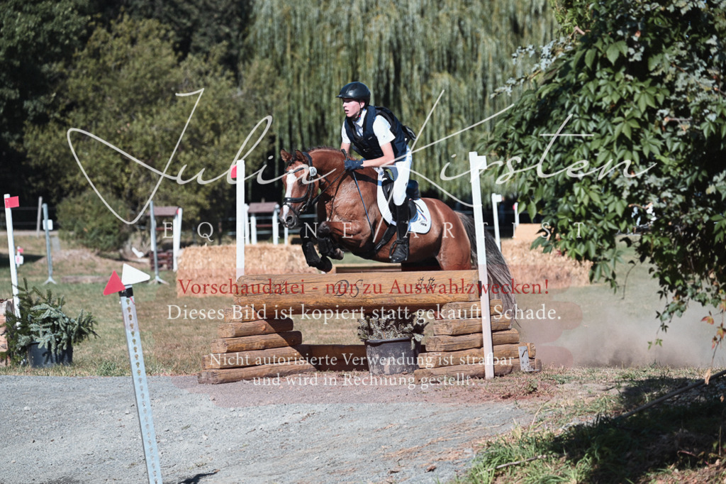 DSC_8826-2 | Pferde- und Turnierfotografie in Westsachsen. Pferdeportraits, Auftragszeichnungen und intuitive Kunst.