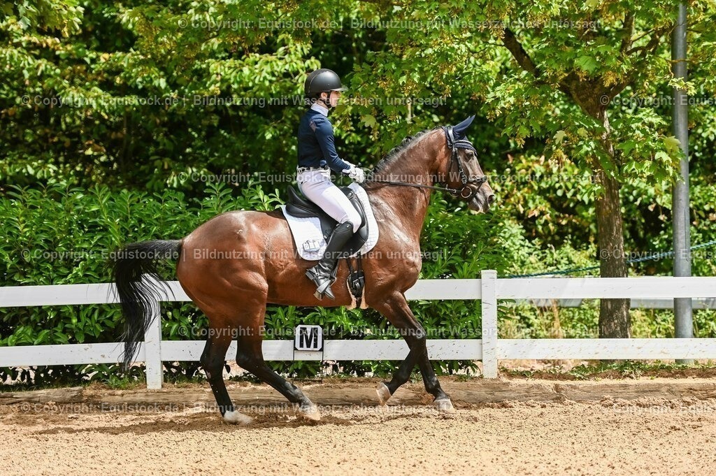 20230716_03_Dressurprfg. Kl.L - Tr._0282 | equistock