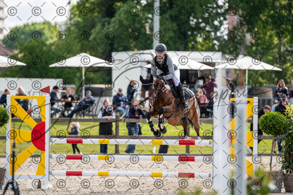 KPT_4740 | andre_photographic