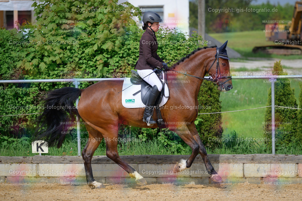 Hanke_Sandra_Teddy-RS_230520_10 | gis-fotografie