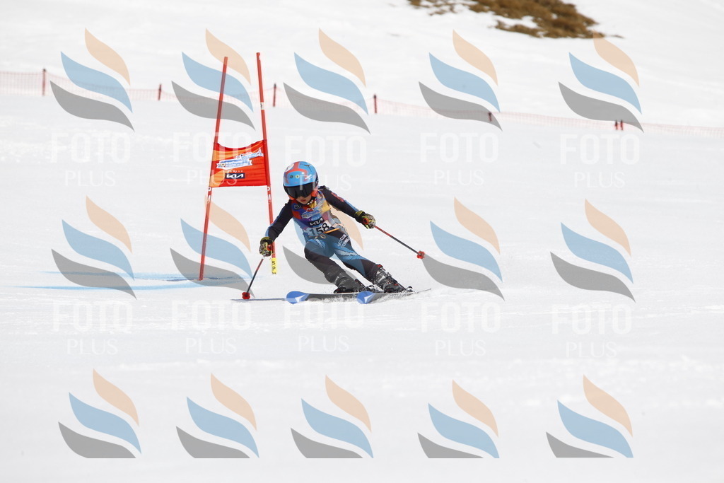 _U3G4260 | holidayphoto