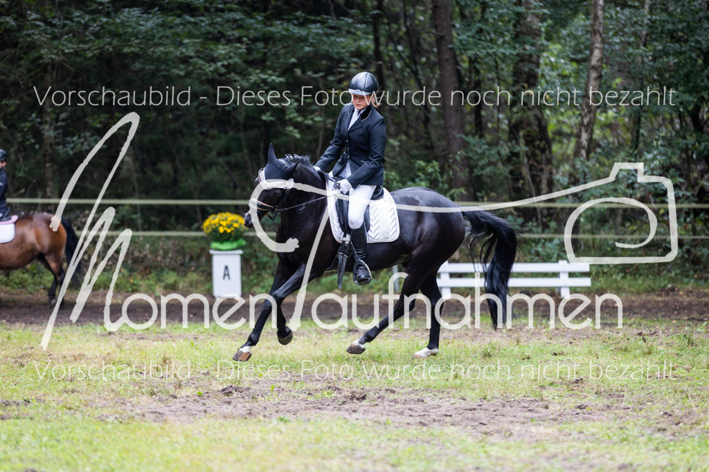 HB-Reiter-WB-065 | MomenTaufnahmen Pferdesportfotos