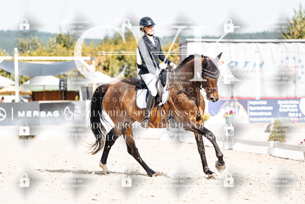 CK905499 | Turnierfotografie Pferdefotografie Trier Rheinland-Pfalz Pferdesport Reitsport Tierfotografie Sportfotografie Pferdevideo Pferdevideografie Equestrianvideography equestrianphotography  - Realisiert mit Pictrs.com