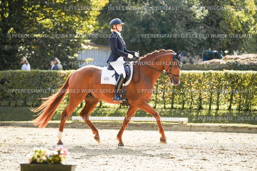 DSC07432 | Pferdegrafie