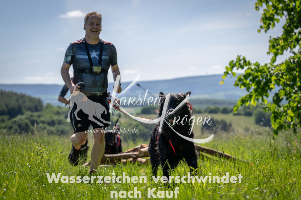 1034_ZZ93367 | kk-dogfotos
